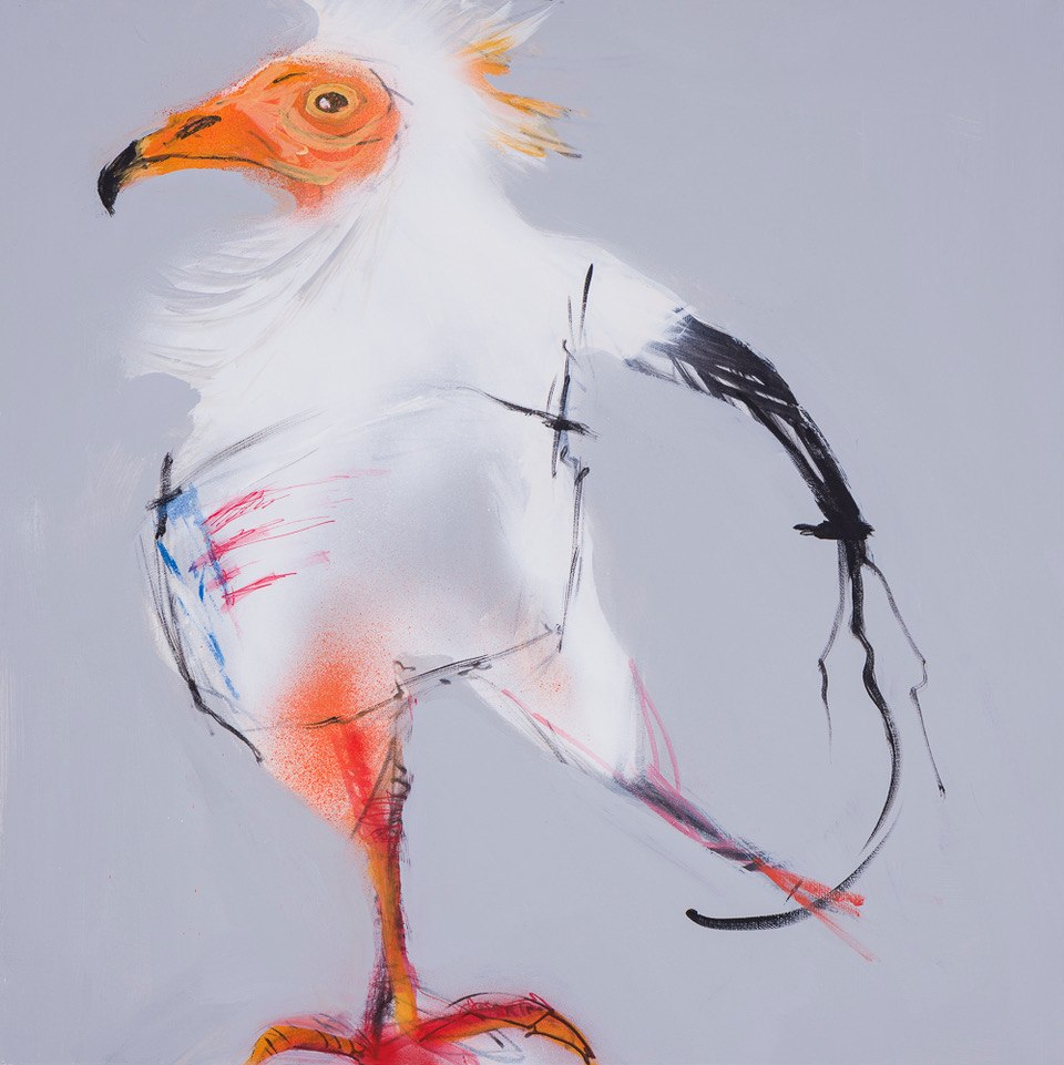 Amrican "First1" dirt - vulture, 90×90