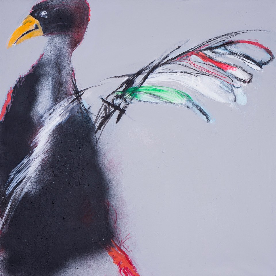 Italian bankrupt vulrure, 90×90